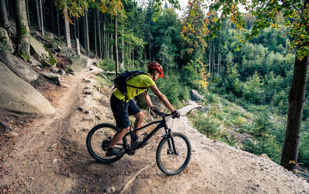 Mountain Bike Bicicletas Queretaro Wikiloc Ruta Meteoro Bikepark, Madagarantula Querétaro