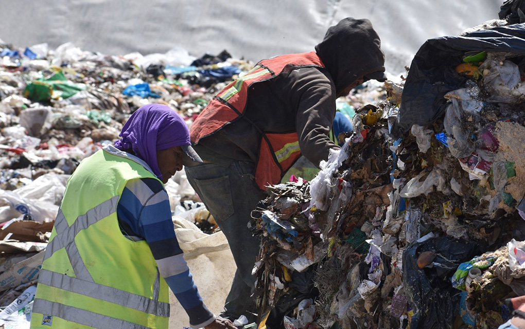 Basura de los mexicanos, una mina de oro para recicladores