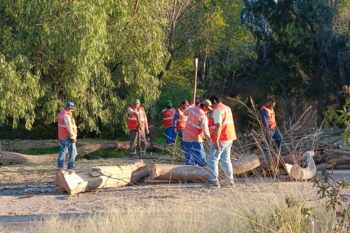 Avanzan trabajos de limpieza sobre Río San Juan