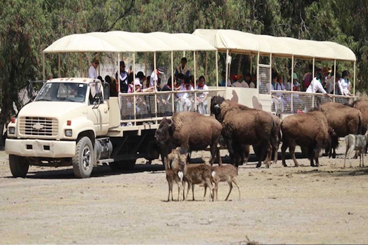 Estado de México: Cinco lugares para festejar el Día de la Niña y del Niño