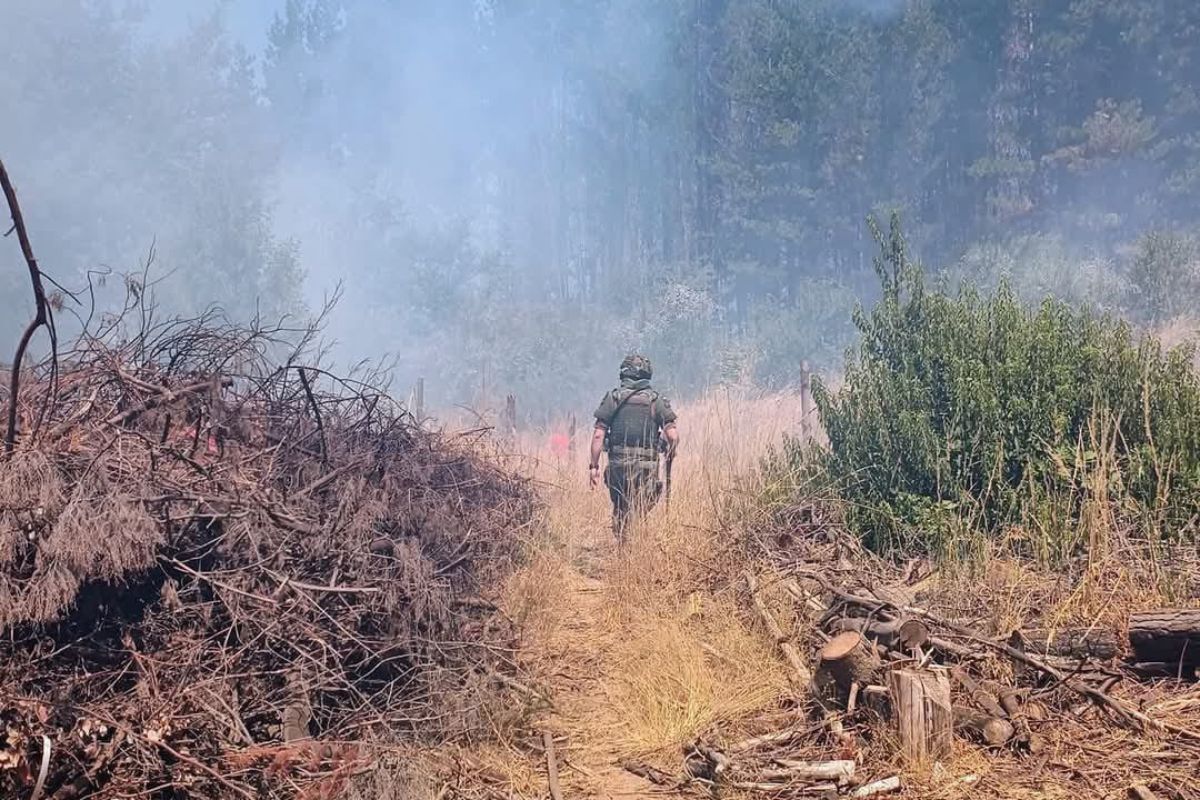 Chile emite evacuaciones por incendios forestales en Araucanía