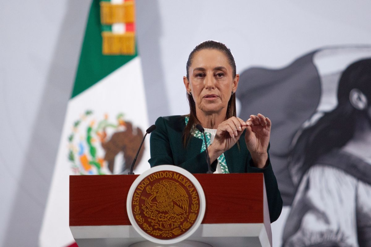 Claudia Sheinbaum exige no vincular a Fátima Bosch con la investigación ...