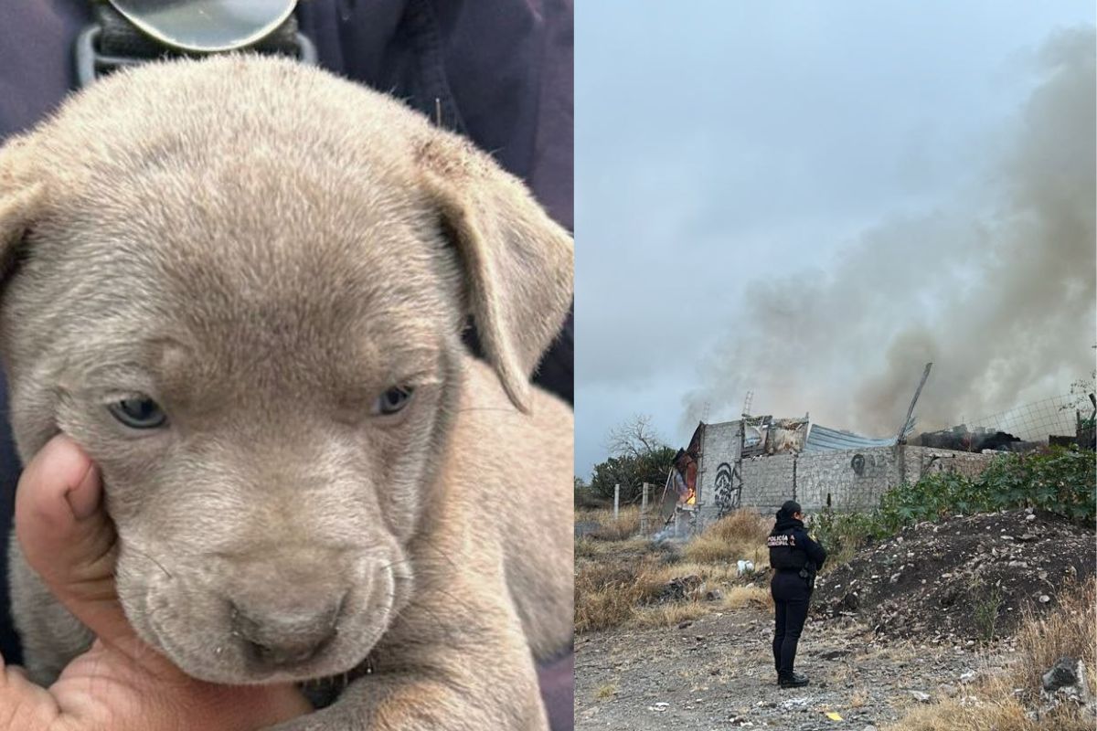 Rescatan a hombre y a su perrito tras incendio de vivienda en Querétaro